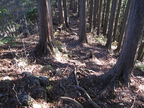 20181115hike (332)